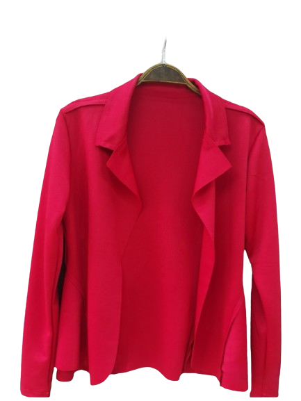 Blazer feminino manga longa